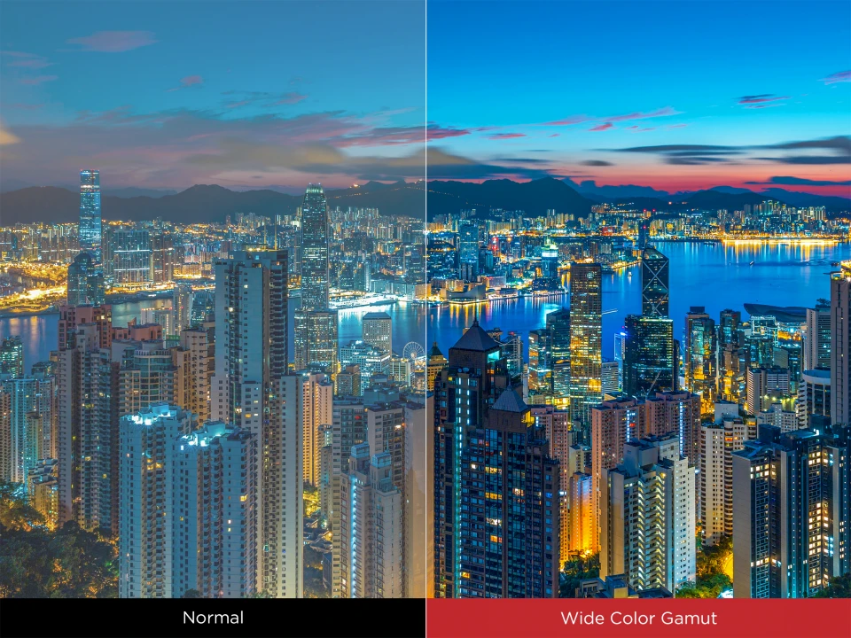 Present the Best with Vibrant Colors ​ 1
