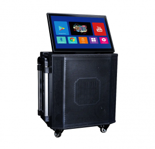 CQA 5502, Loa CQA 5502, Loa di động, Loa di động đa năng